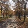 Наталья Рябинина